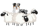 T-shirt Blanc+ race du chien 13