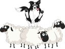 T-shirt Blanc+ race du chien 15