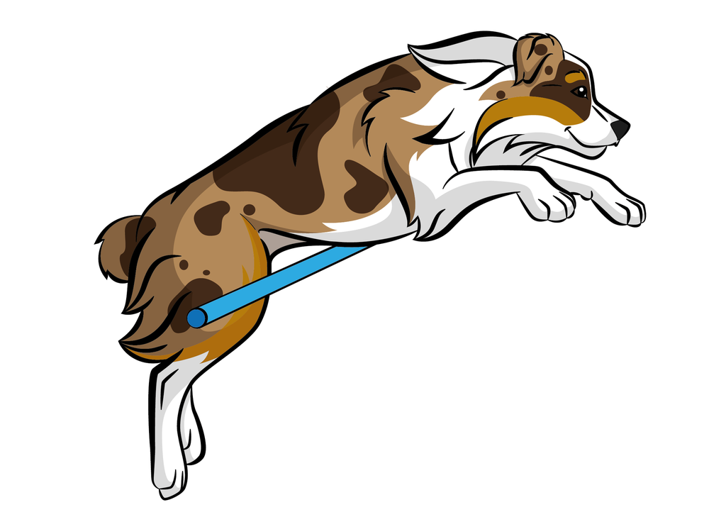 T-shirt Blanc+ race du chien 17