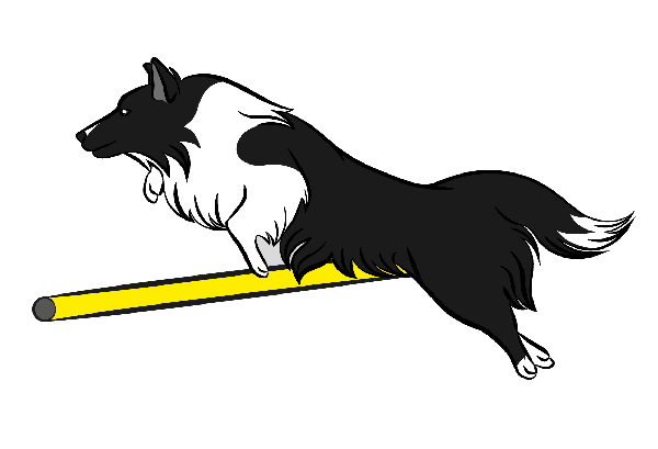 T-shirt Blanc+ race du chien 20