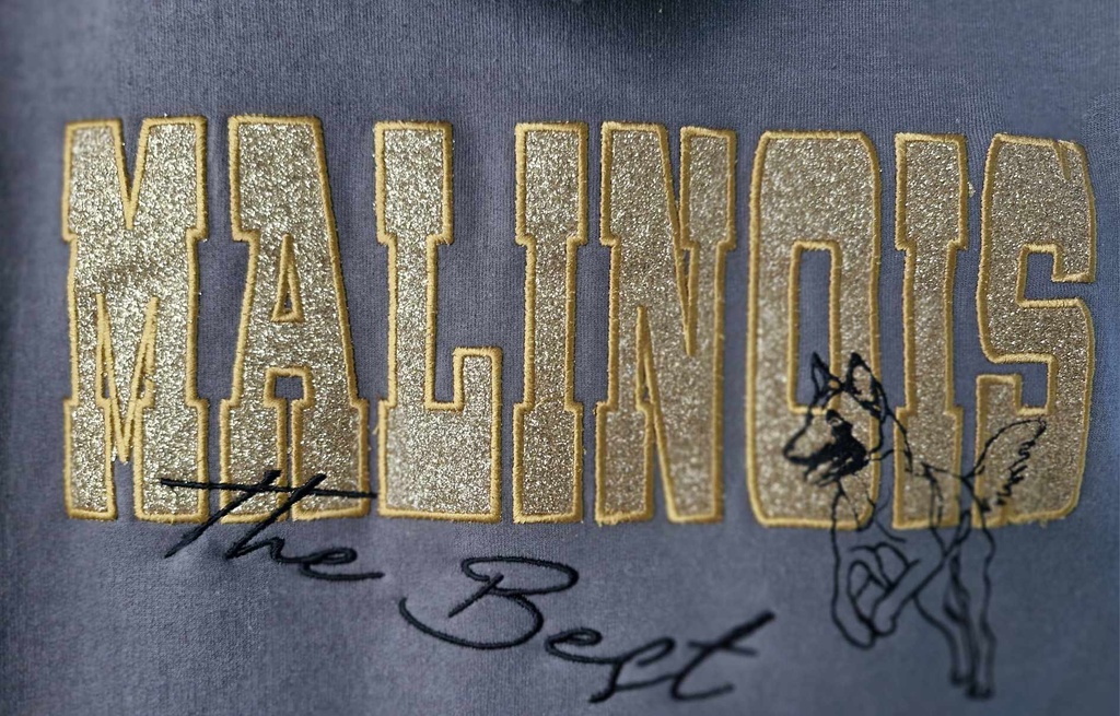 Sweat-shirt "The Best" floqué et brodé 3