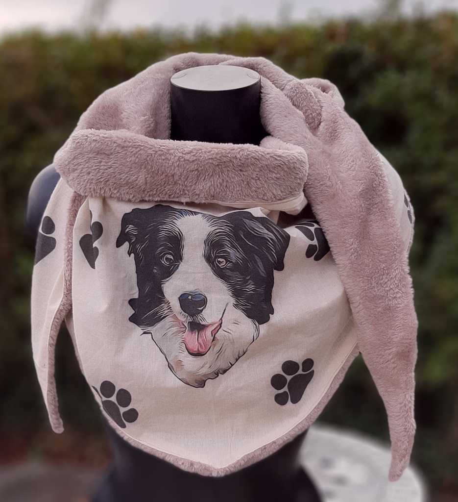 Chèche avec la photo de votre animal de compagnie. 2