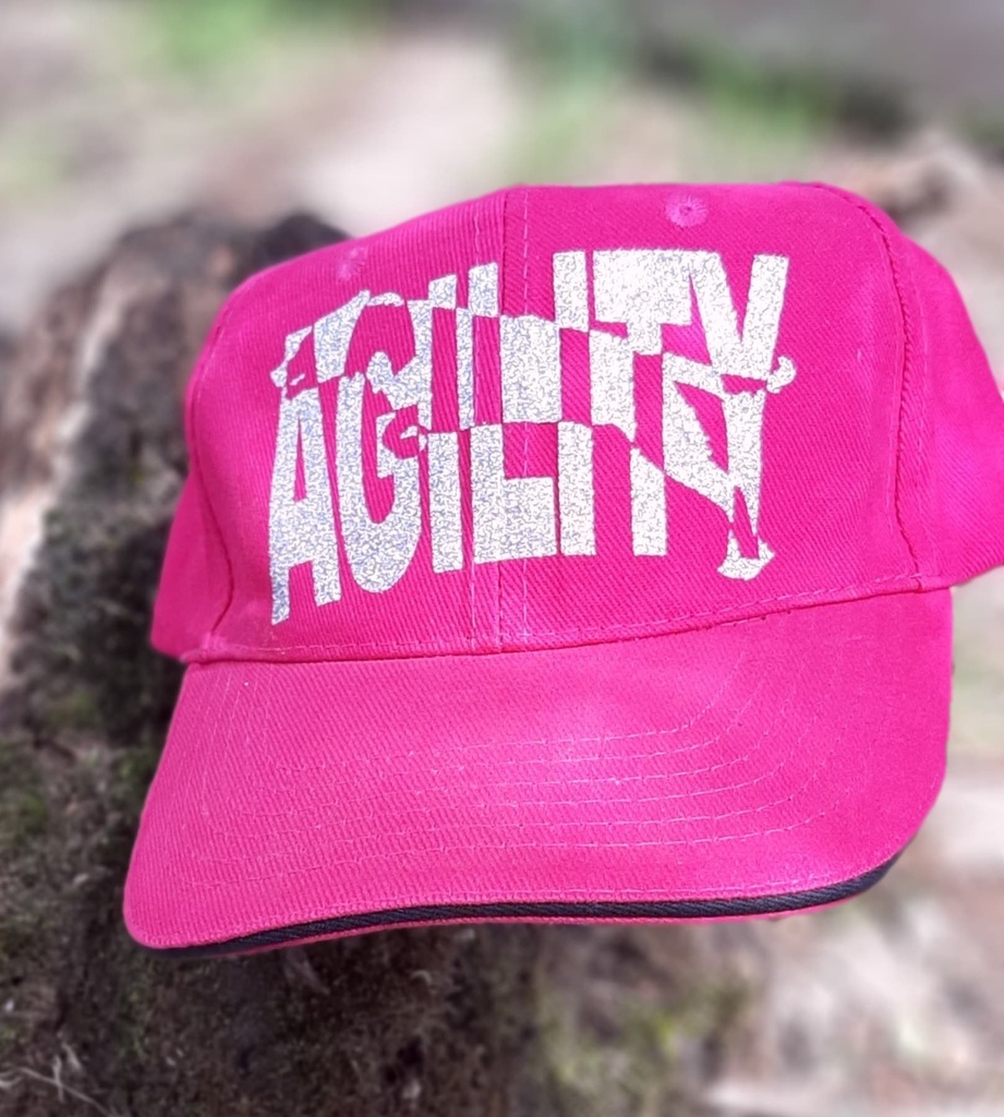Casquette KP157 flex 2
