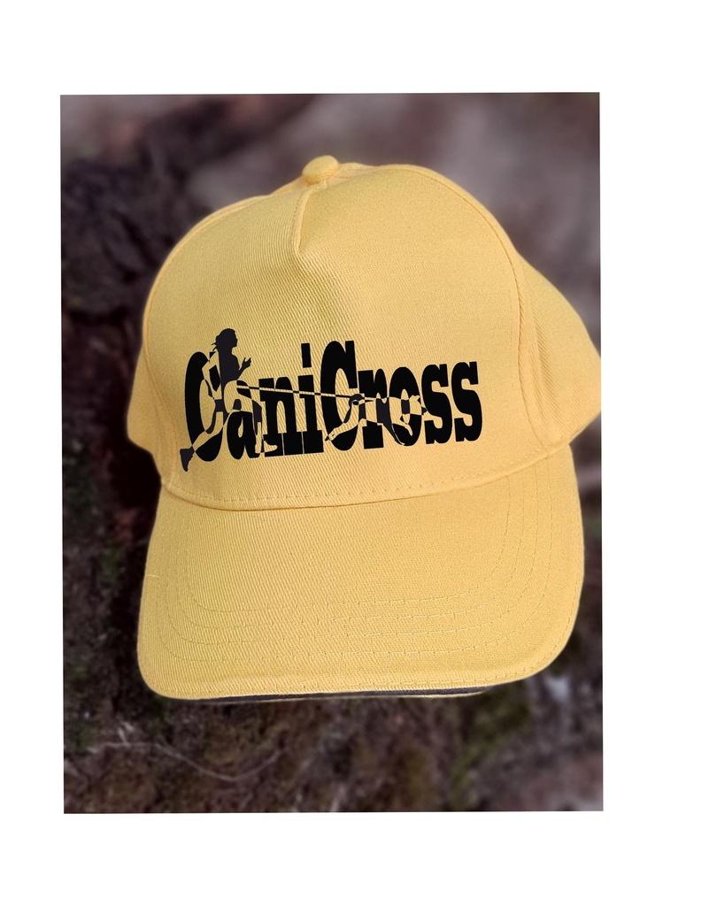 Casquette KP157 flex 4