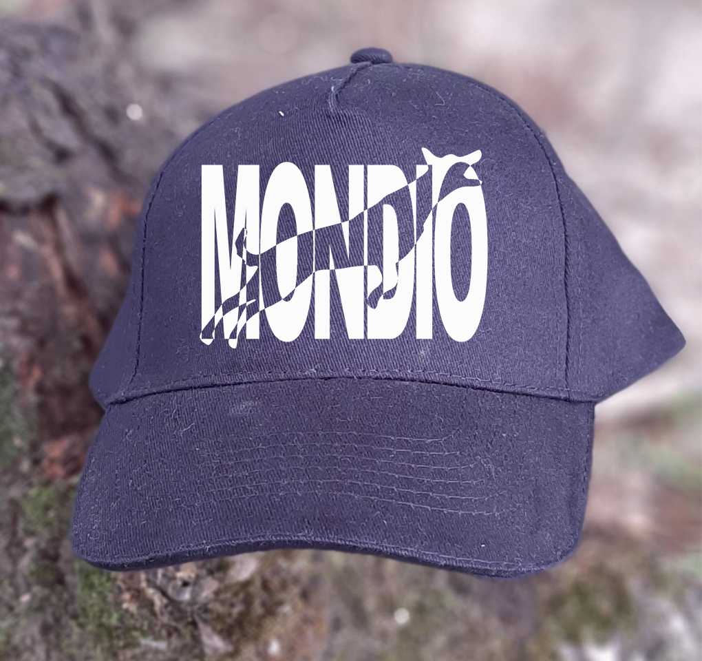 Casquette KP157 flex 6