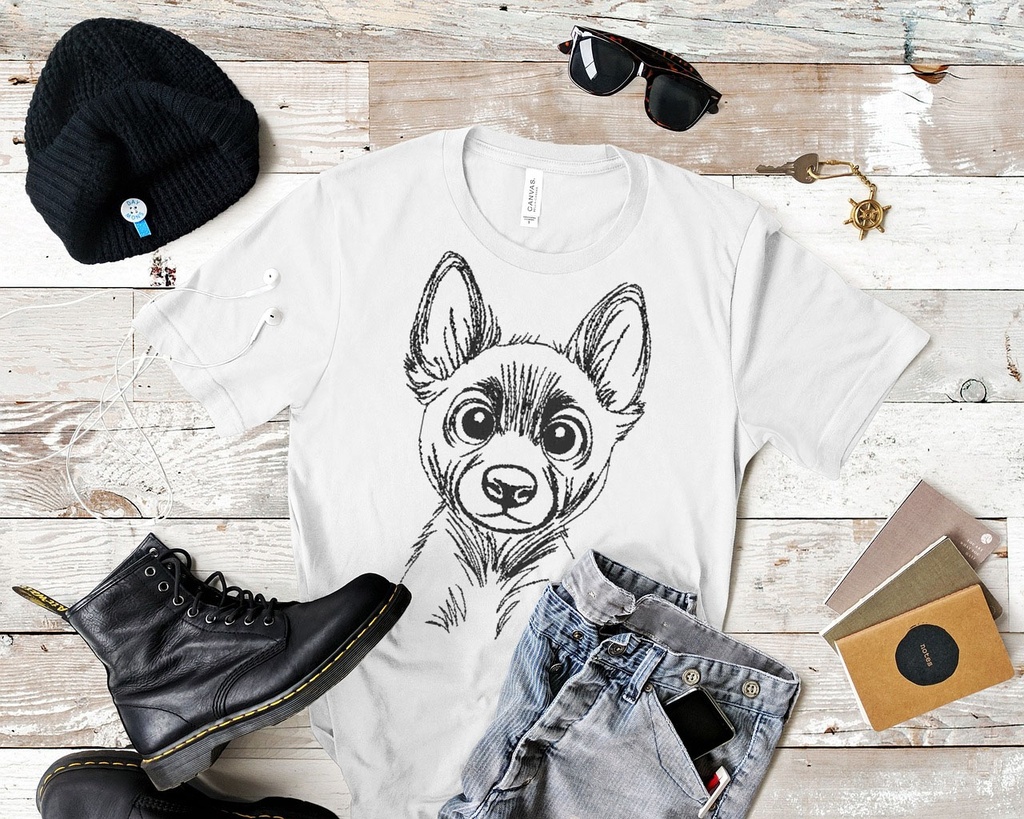 Malinois 4