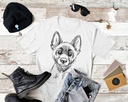 Malinois 4