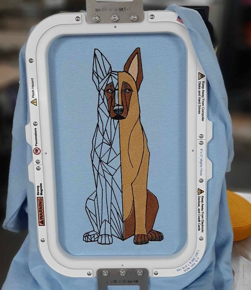 Malinois 5