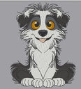 Border collie 2