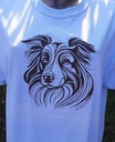 Border collie 4