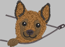 Coucou Malinois