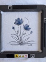 Fleur Bleu