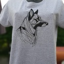 Malinois volupté