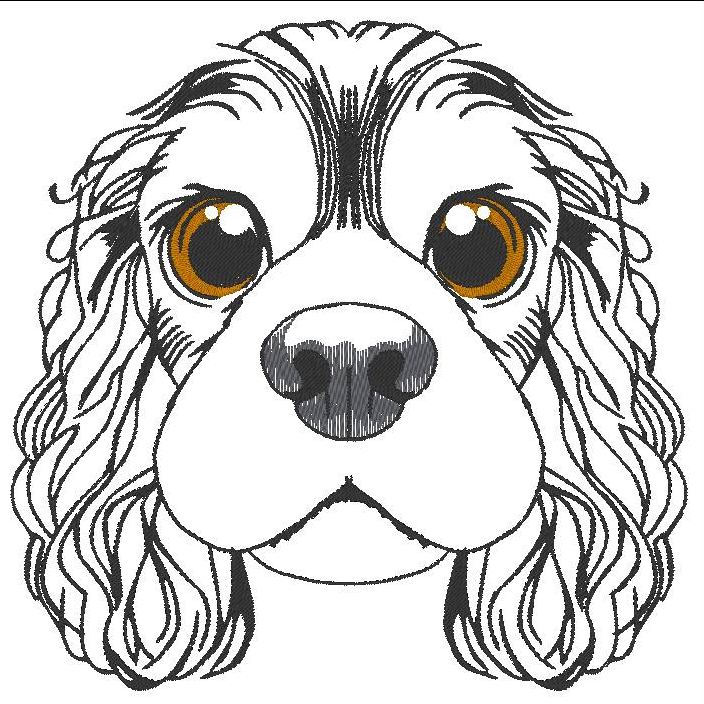 Charlie, le Cavalier King Charles