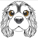Charlie, le Cavalier King Charles