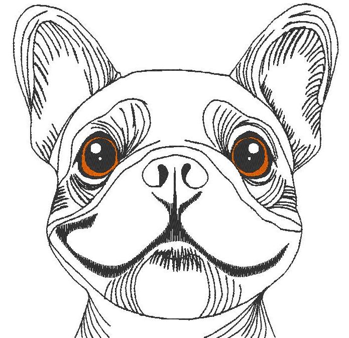 Bully le Bouledog