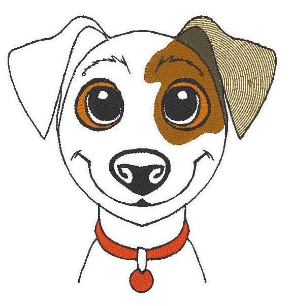 Dusty le petit Jack Russell