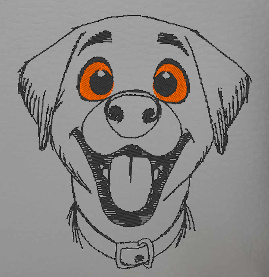Lucy, le Labrador