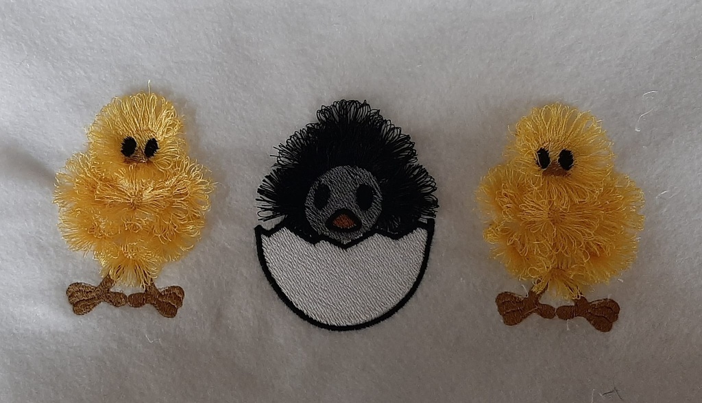 Les poussins