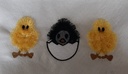 Les poussins