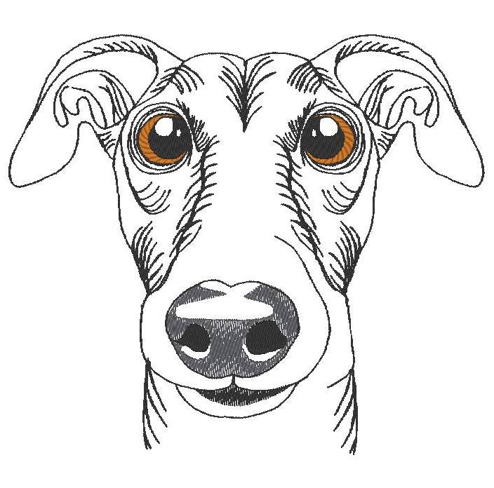 Éclipse, le Galgo