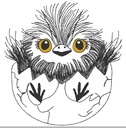 Piou Piou le poussin