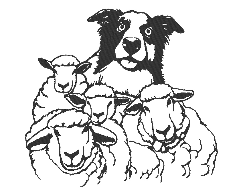 Chien de berger et son troupeau