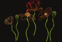 Fleurs fluo