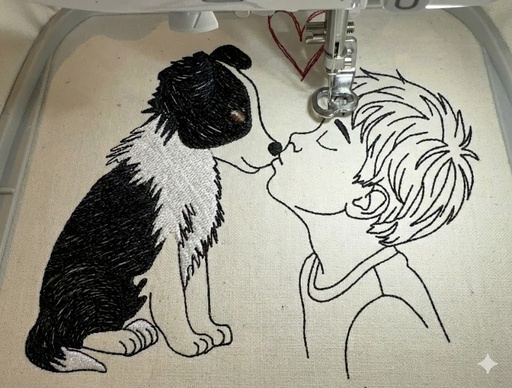 Baiser garçon Border collie