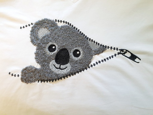 Coucou Koala