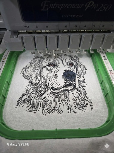 Golden Retriever
