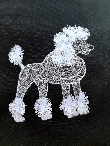 Caniche à frange