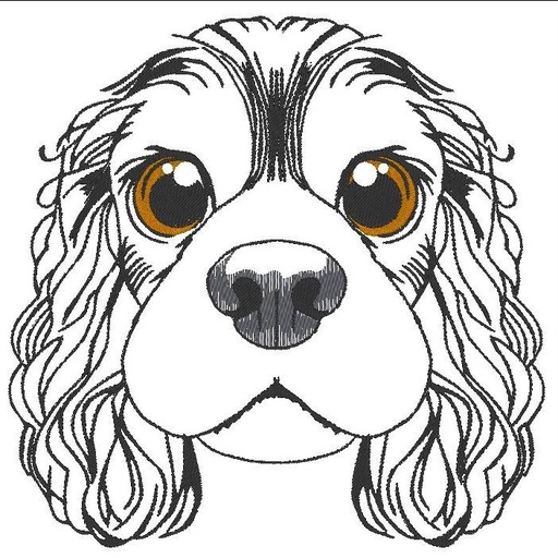 Charlie, le Cavalier King Charles