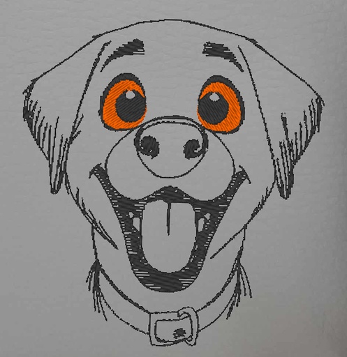 Lucy, le Labrador
