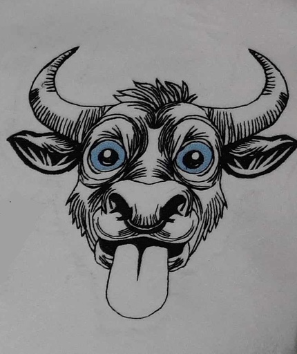 Margarito le taureau