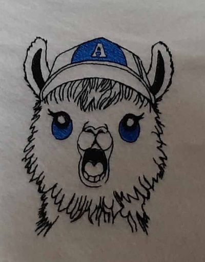 Augustin Le petit Lama
