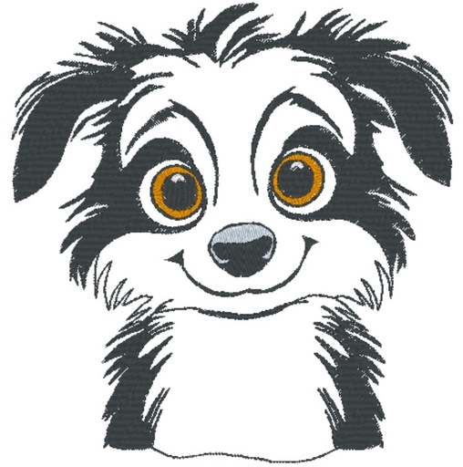 Border collie chiot
