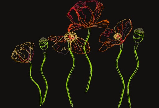 Fleurs fluo