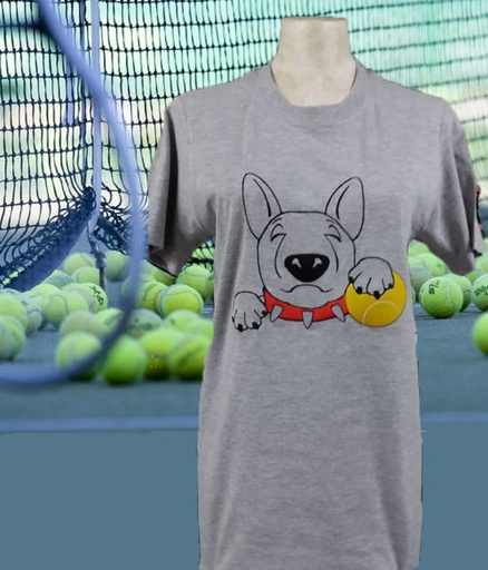Bull terrier et sa balle