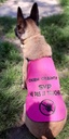 Gilet de sécurite pour chien en breaker teflon