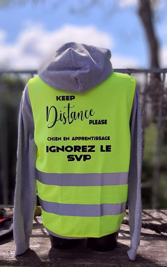 R200XEV - Gilet CORE à visibilité accrue