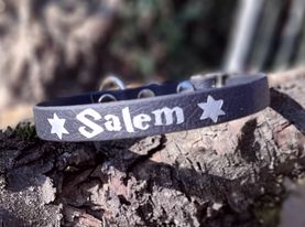 Collier chiot ou chien de petite taille en 2 largeurs