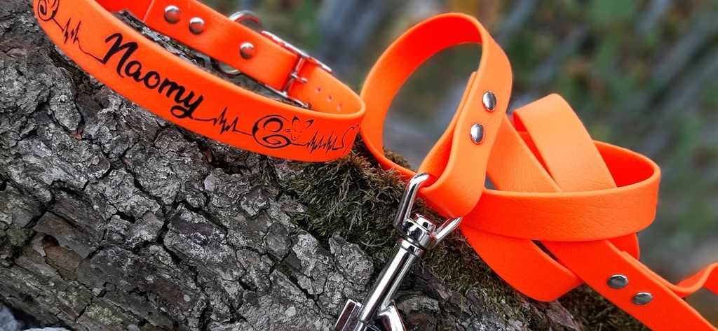 Collier "Fox" en PCV en 3 largeurs possible