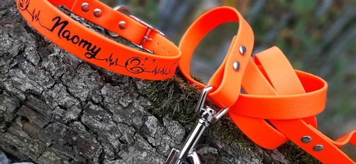 [ColPVCpers-1-1-1] Collier "Fox" en PCV en 3 largeurs possible