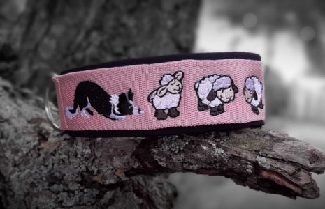 Collier Mouton Néoprène réglable avec race de chien au choix