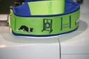 Collier Agility Néoprène réglable avec race de chien au choix