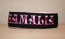 Collier Martingale Polaire avec Sangle de couleur (largeur 3 cm)