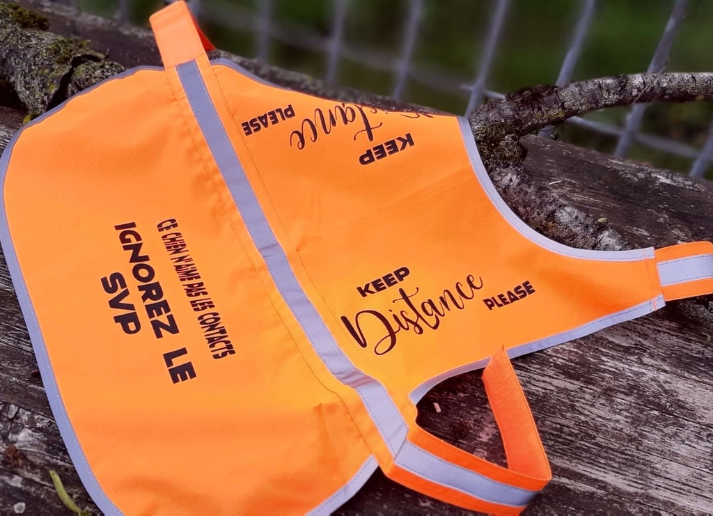 GILET RÉFLÉCHISSANT POUR CHIEN