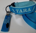 Porte clef ou identification du chien avec votre n° de téléphone