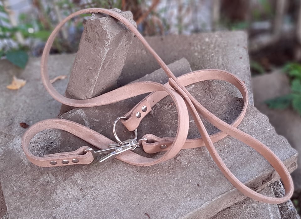 Collier cuir + laisse attachée avec mousqueton anti panique